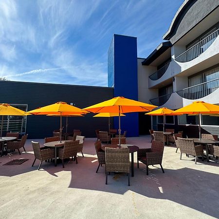 Comfort Suites Kingston Central Zewnętrze zdjęcie
