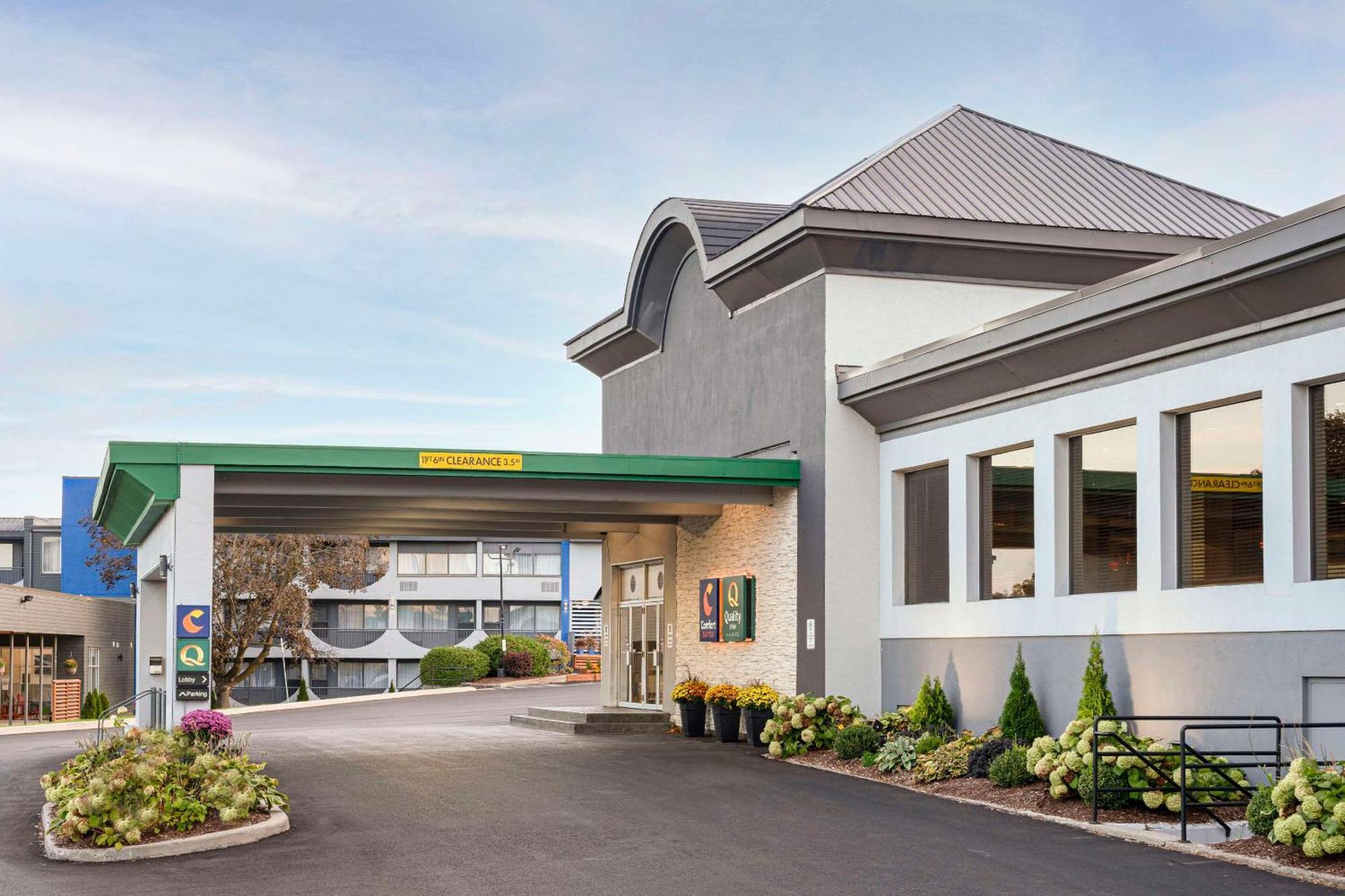 Comfort Suites Kingston Central Zewnętrze zdjęcie